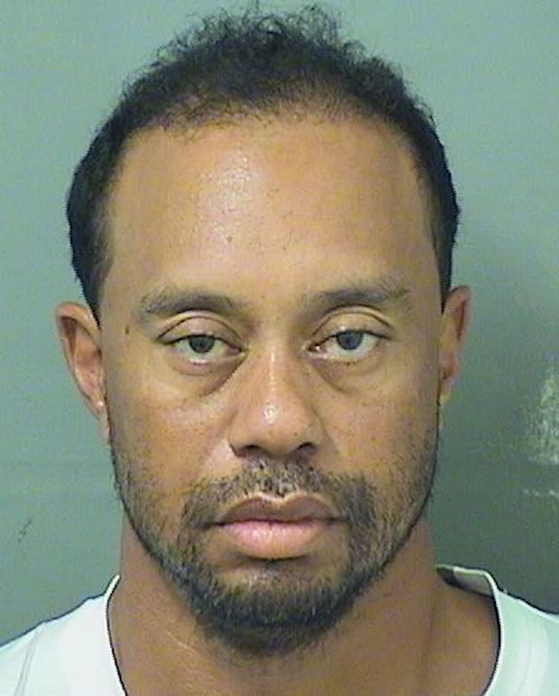 Tiger Woods Mug Shot