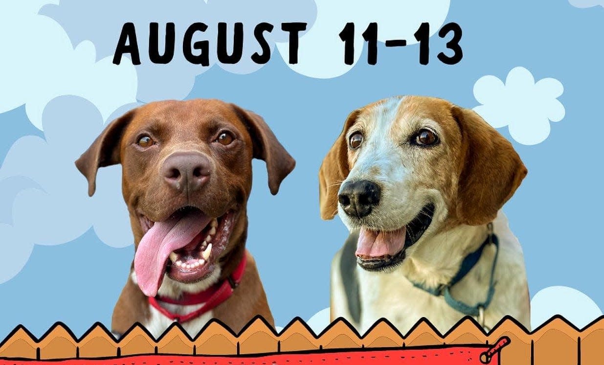 Community SNOUTreach adoption event takes place Aug. 11-13, 2023 at 18 local shelters in Richmond and beyond. They will offer waived or reduced adoption fees thanks to a grant from the Community Foundation for a greater Richmond.