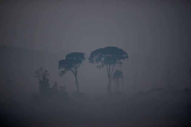<p>Les incendies en Amazonie sont la conséquence directe de la déforestation, des agriculteurs pratiquant le brûlis sur des aires déboisées pour y faire paître du bétail. Les hommes du ministère brésilien de l'Environnement tentent d'arrêter ces feux. </p>