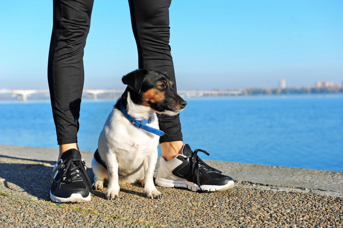 These non-pilling leggings repel lint and pet hair - and they all