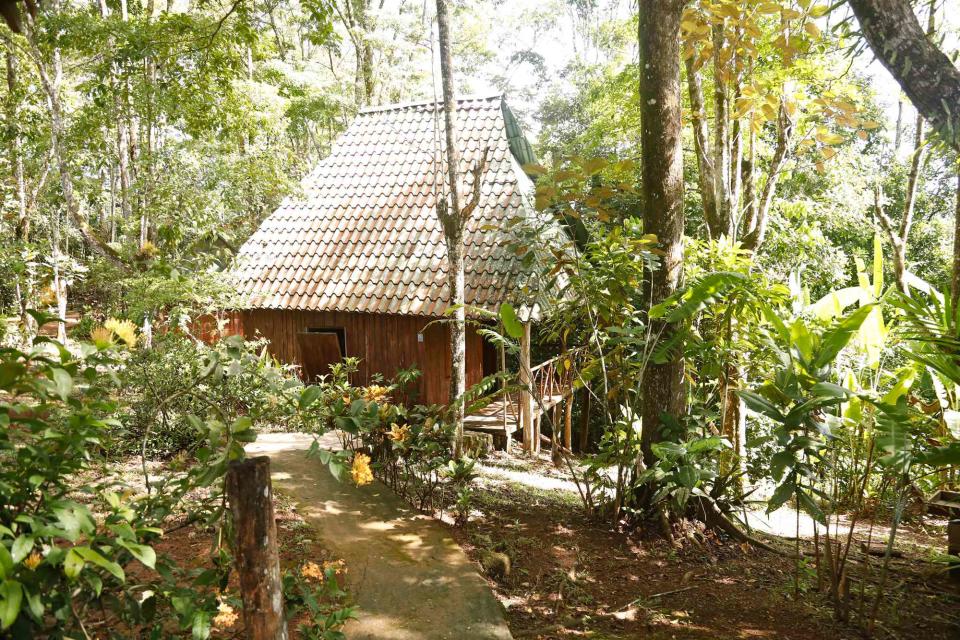 <p>Lebo Lukewarm/Courtesy of Intrepid Travel</p> A home in the TÃ©rraba region.