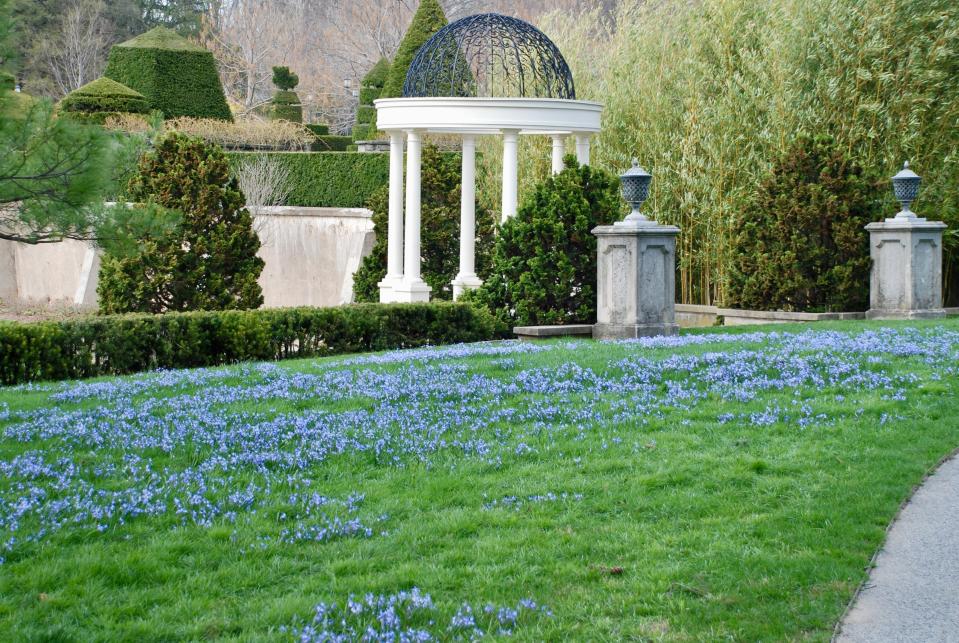 Bulbs in bloom at Longwood Gardens.