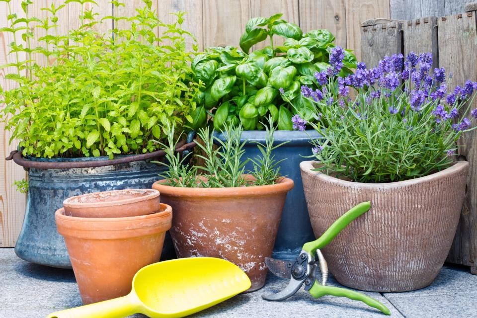 Raised Bed Planters and Containers Perfect for Any Type of Garden