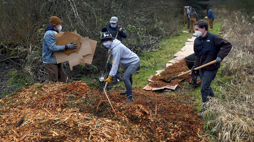 Volunteers pitch in during a Martin Luther King Jr. Day of Service project on Monday, Jan. 17, 2022 near Olympia, Washington. - Steve Bloom/AP