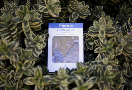 Pope Francis' new encyclical titled "Laudato Si (Be Praised), On the Care of Our Common Home", is displayed during the presentation news conference at the Vatican June 18, 2015. REUTERS/Max Rossi