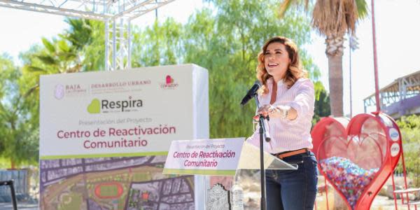 Marina del Pilar reforestará Baja California con 30 mil árboles antes de finalizar el 2022