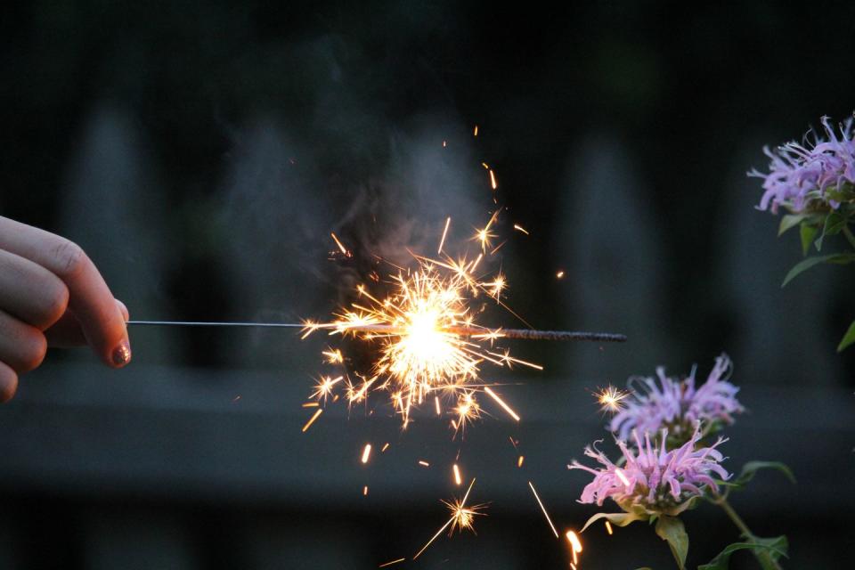 have a wildlife friendly bonfire night