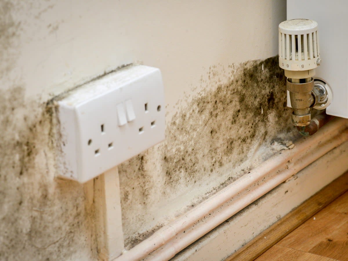 Homeowners are living with cracks in walls and ceilings, flaky paint, and wonky kitchen cupboards – because they don’t have time to get them fixed (Tony Kershaw / SWNS.com)