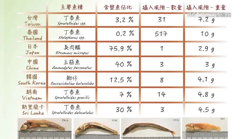 &#x009b5a;&#x004e7e;&#x005fae;&#x005851;&#x0081a0;&#x006700;&#x00591a;&#x00524d;3&#x00540d;&#x007684;&#x00570b;&#x005bb6;&#x005305;&#x0062ec;&#x0065e5;&#x00672c;&#x003001;&#x004e2d;&#x00570b;&#x003001;&#x0065af;&#x0091cc;&#x00862d;&#x005361;&#x003002;