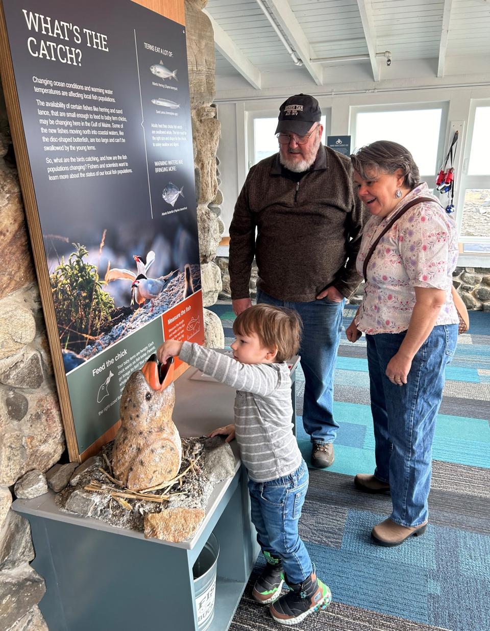 The Science of Seabirds exhibit at the Seacoast Science Center in Rye.