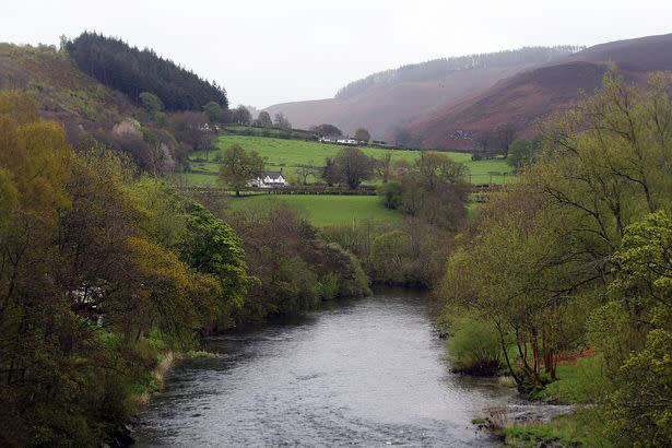 The Conscious Tribal Gathering took place on a private site in the Dee Valley, North Wales, last weekend  (reach)