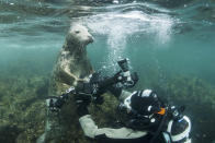 <p>A seal grabs the camera in Farne Islands, off the coast of Northumberland. (Photo: Frogfish Photography/Caters News) </p>