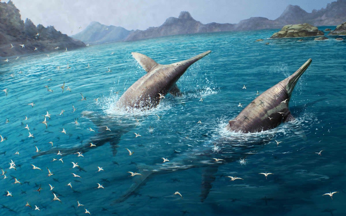 A ichthyosaur species has been identified to be probably the largest marine reptiles (Gabriel Ugueto/PA Wire)