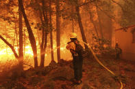 In this photo provided by Mike McMillan, firefighters battle the Windy Fire near Johnsondale, Calif., on Wednesday, Sept. 22, 2021. The Windy Fire has burned through nearly 57 square miles (148 square kilometers) on the Tule River Indian Reservation and in Sequoia National Forest, including Giant Sequoia National Monument. Ignited by lightning on Sept. 9, the Windy Fire has forced evacuation of of small forest communities but no privately owned structures had burned as of Thursday morning. (Mike McMillan via AP)