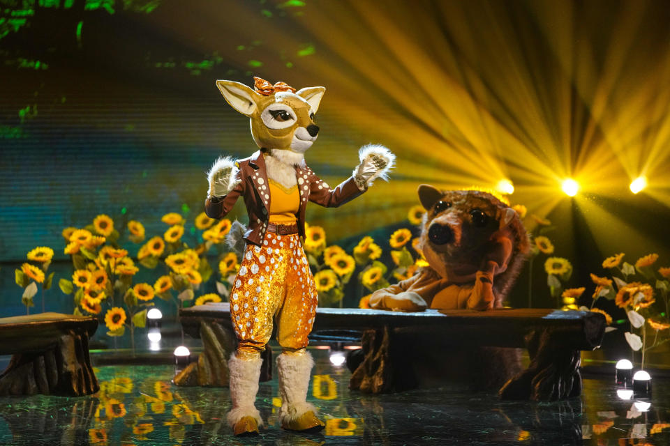 Fawn performing on stage with sunflowers behind her and a crying hedgehog