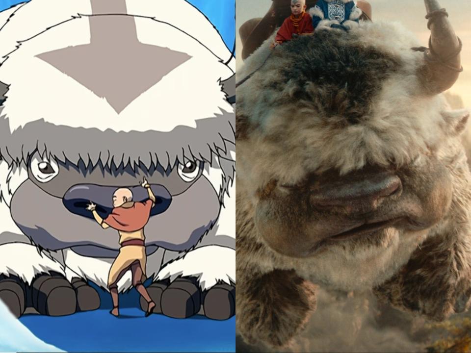 left: aang hugging appa's nose in avatar the last airbender; right: a more realistic appa, with fluffy hair, horns, and an arrow of brown fur on his forehead