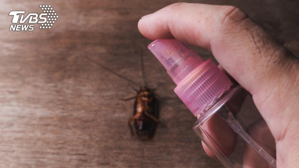 許多人看到蟑螂出沒，通常會拿殺蟲劑滅蟑。（示意圖／shutterstock 達志影像）