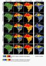 Maps of Brazil representing the routes of the main federal highways, geographic distribution of COVID-19 cases on three dates and the distribution of COVID-19 deaths on August 1st are seen in this undated handout image