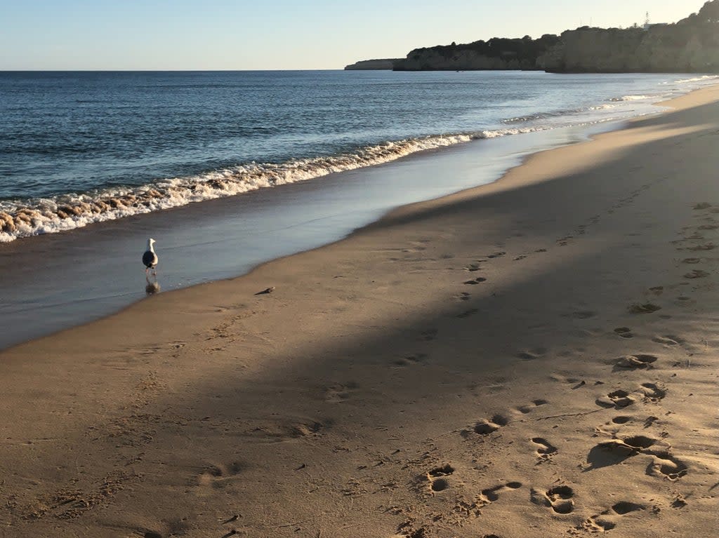 Empty quarter: the beach at Armacao on Portugal’s Algarve Coast (Simon Calder)