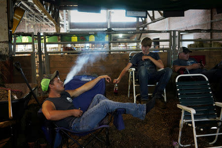 Luke Altheide, 27, of Bloomfield, smokes an e-cigarette in the cattle barn at the Iowa State Fair in Des Moines, Iowa, U.S., August 9, 2018. REUTERS/KC McGinnis/File Photo