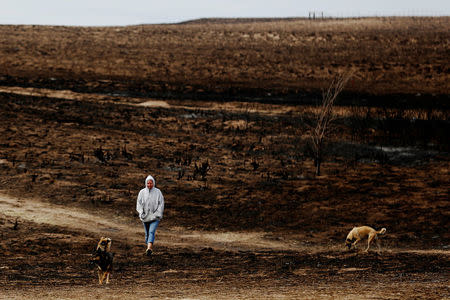 Rancher Nancy Schwerzenbach walks with dogs through pasture burned by wildfires near Lipscomb, Texas, U.S., March 12, 2017. REUTERS/Lucas Jackson