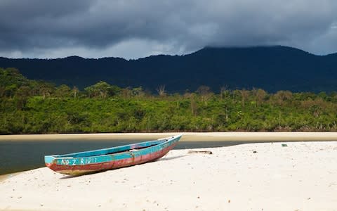 The moody rainforests of Sierra Leone