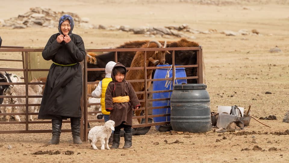 Bayarduuren Zunduikhuu moves home each season looking for land for her herd of 500 animals, including the goats she relies on for cashmere. - Dan Hodge/CNN