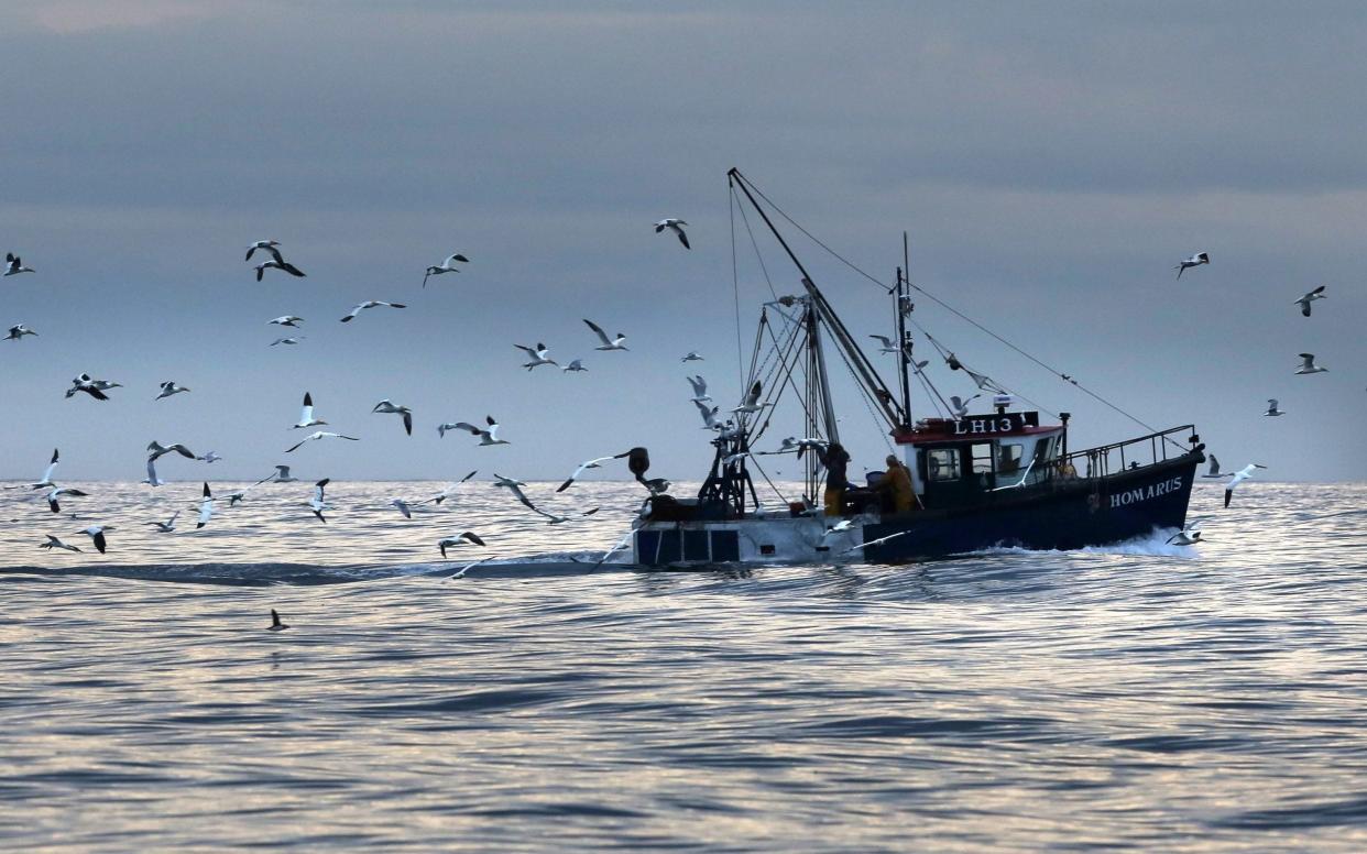 Fishing remains a divisive and emotive issue in the Brexit talks. The EU is keen to protect its fleets and the UK is dependent on exports to the bloc's market but wants control of its waters.  - PA