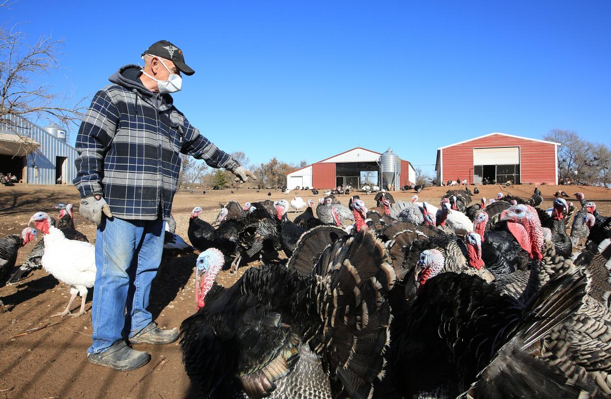 Frank Reese points out some the different breeds of heritage turkeys that he raises at his Good Shepherd Turkey Ranch near Lindsborg. Reese raises Standard Bronze, White Holland, Bourbon Red, Narraganset, Slate, Black, Royal Palm and Beltsville breeds of turkeys.