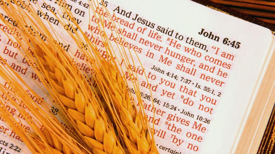 bible showing scripture surrounded by wheat