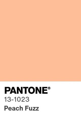 <p>Courtesy of Pantone</p>