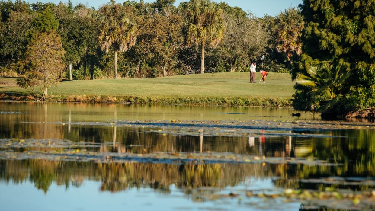 best golf courses in florida mangrove bay
