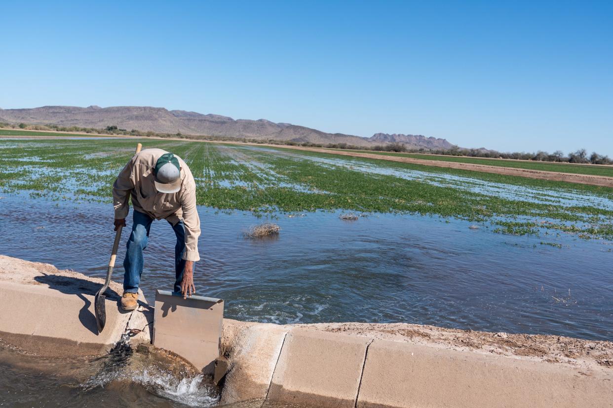 Danny Mark, an irrigation foreman at Ramona Farms, closes off a canal gate after flood irrigating an alfalfa crop with water from the Casa Grande Canal at Ramona Farms in Sacaton in the Gila River Indian Community on February 9, 2022.