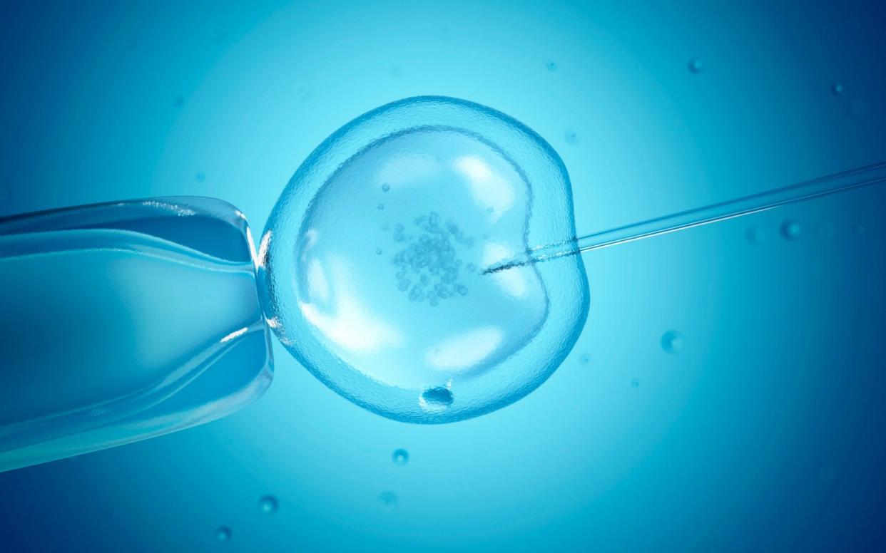 In preparation for IVF, women are given drugs to stimulate the ovaries into producing more eggs   - Science Photo Library RF