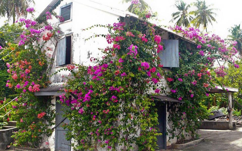  River Antoine Rum Distillery, Grenada