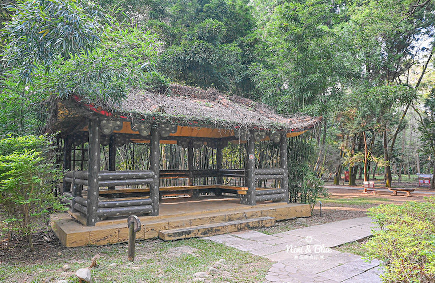 南投竹山｜下坪熱帶植物園