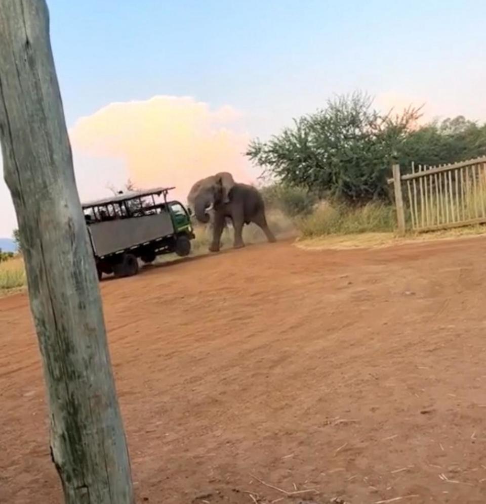 PHOTO: A large bull elephant appears to attack a safari truck at Pilanesberg National Park, March 18, 2024, in South Africa. (Hendry Blom)