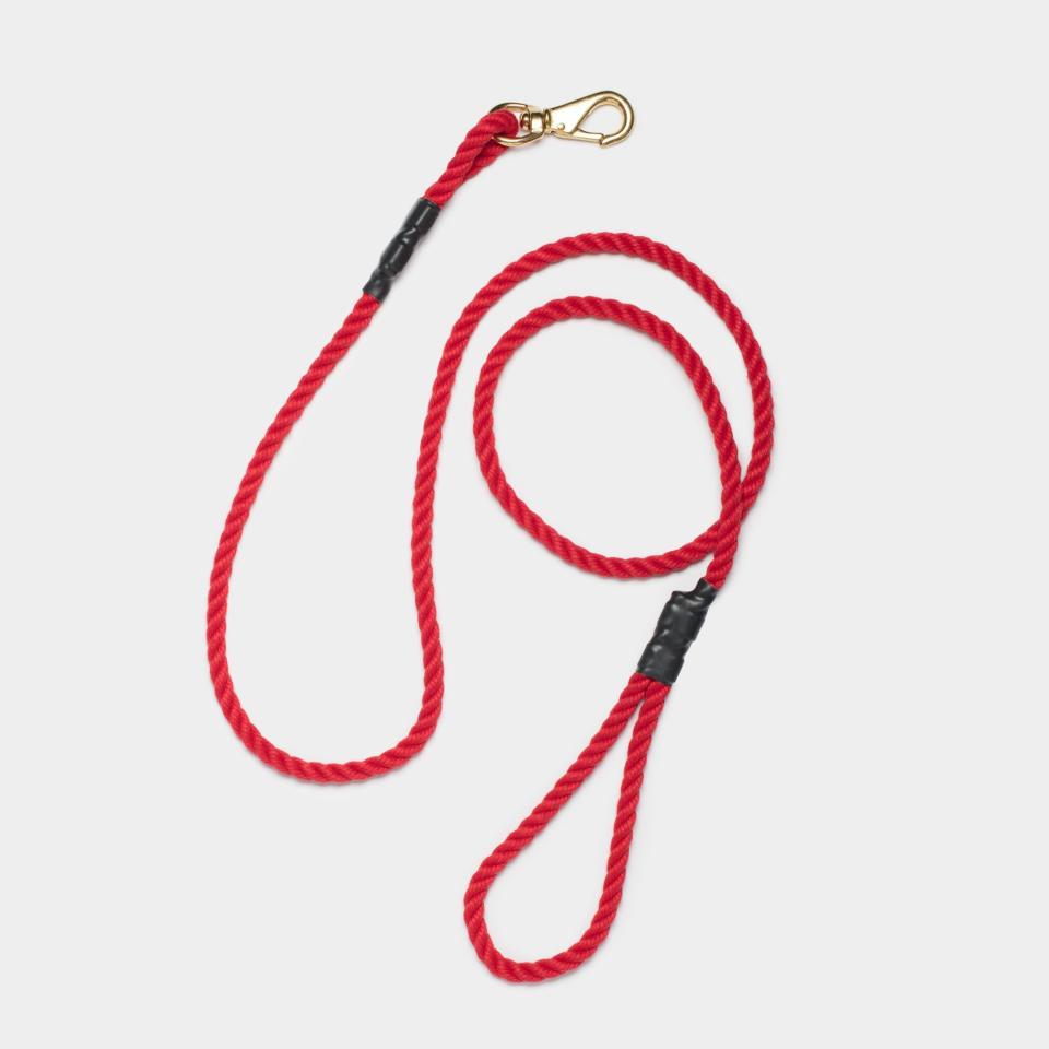 A Stylish Leash