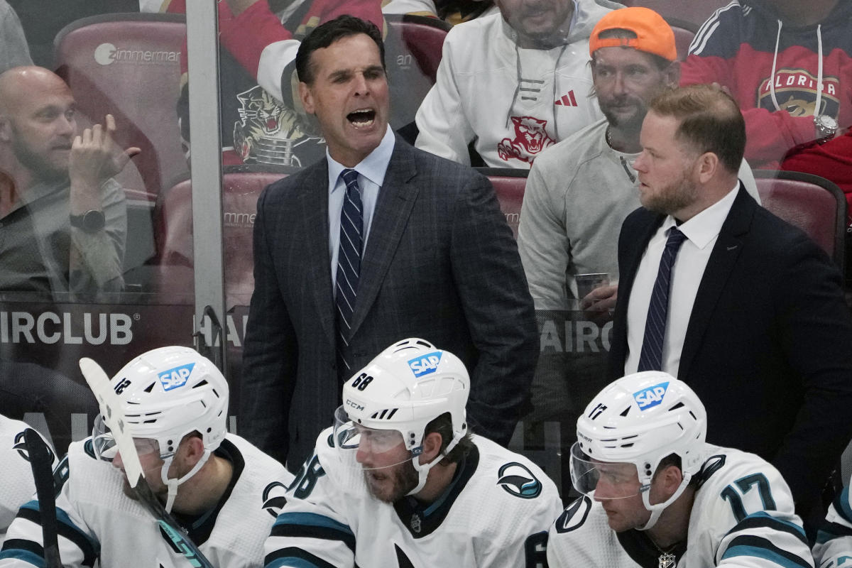 Ryan Warsofsky named as new head coach of Sharks