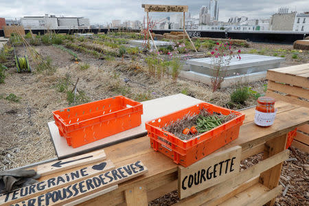 Boxes of vegetables is displayed at a 900 square meters farm garden on the rooftop of a postal sorting center, as part of a project by Facteur Graine (Seed Postman) association to transform a city rooftop as a vegetable garden to grow fruits, vegetables, aromatic and medicinal plants, with also chickens and bees in Paris, France, September 22, 2017. Picture taken September 22, 2017. REUTERS/Charles Platiau