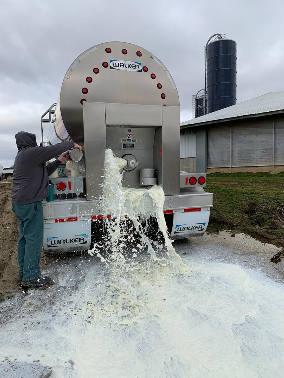Golden E Dairy near West Bend, Wisconsin, has been forced to dump 25,000 gallons of milk a day as the coronavirus pandemic slams the fragile dairy economy.