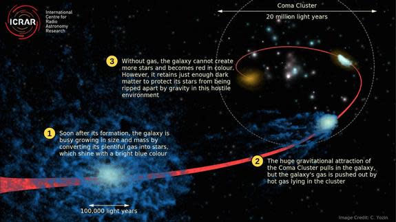 This graphic depicts the "quenching" process, showing how a normal star-forming galaxy (in blue), loses its gas while falling into the Coma galaxy cluster.