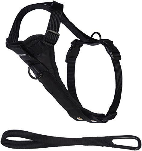 Dog Harness