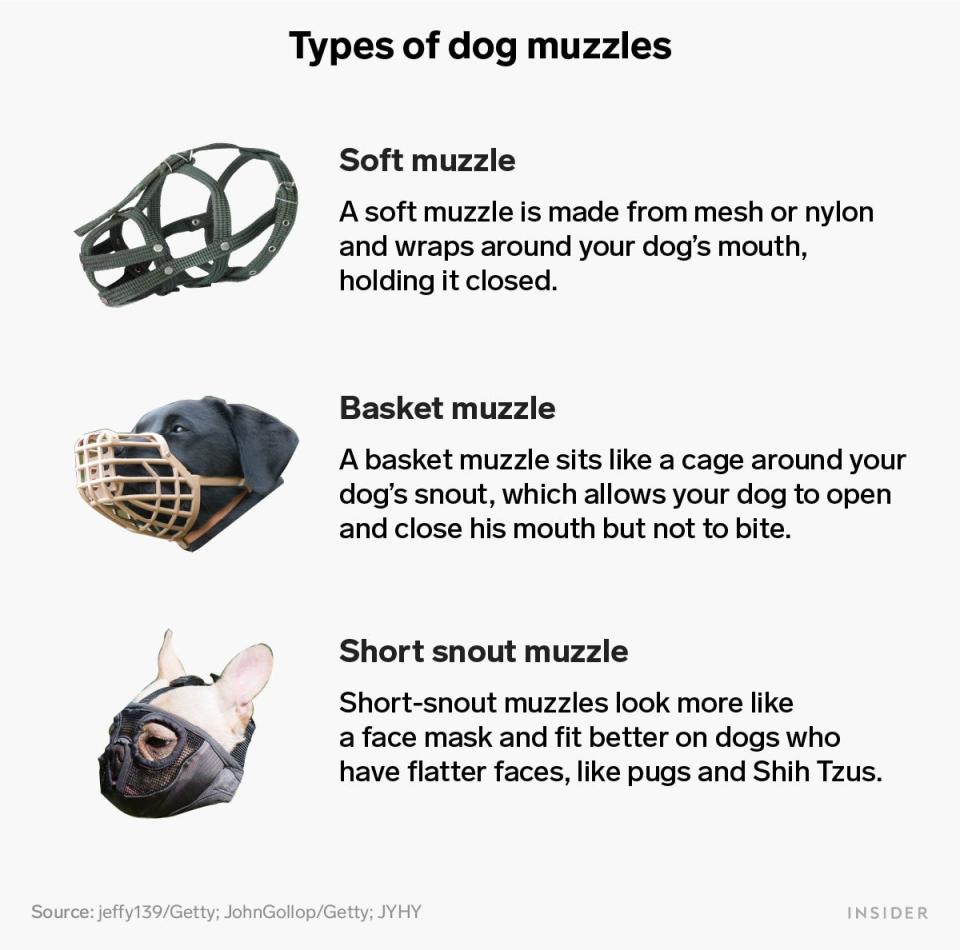 Types of dog muzzles