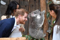 Britain's Prince Harry, the Duke of Sussex, and his wife Meghan, the Duchess of Sussex, are seen meeting Ruby, a mother Koala who gave birth to koala joey Meghan, named after Her Royal Highness, with a second joey named Harry after His Royal Highness, during a visit to Taronga Zoo in Sydney, Australia, October 16, 2018. AAP/Dominic Lipinski/POOL/via REUTERS