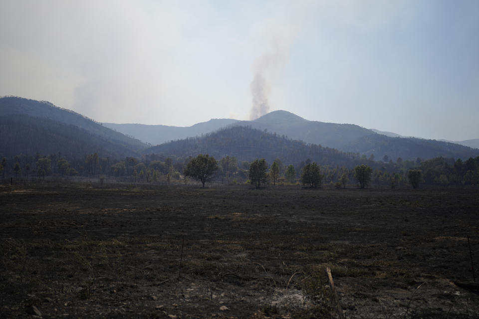 A charred forest is pictured after a fire near Le Luc, southern France, Tuesday, Aug. 17, 2021. Thousands of people were evacuated from homes and vacation spots near the French Riviera as firefighters battled a fire racing through surrounding forests Tuesday, the latest of several wildfires that have swept the Mediterranean region.(AP Photo/Daniel Cole)