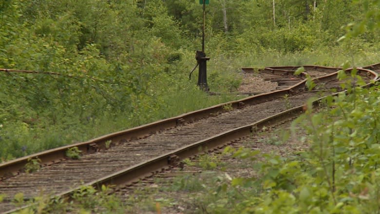 Oil terminal slated for Belledune sparks dispute along N.B.-Que. border