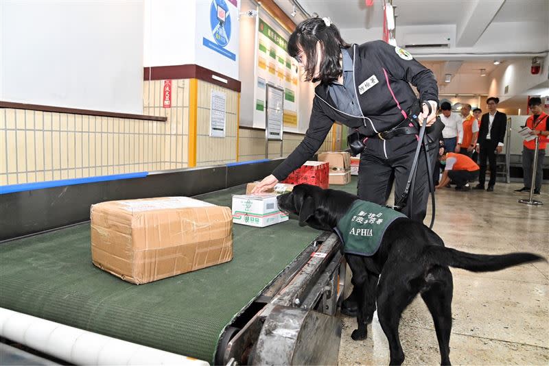 行政院長卓榮泰今（4）日前往台北郵件處理中心視察國際郵包檢疫作業。（圖／行政院提供)