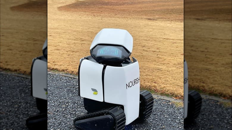 Nourish + Bloom AI delivery robot 