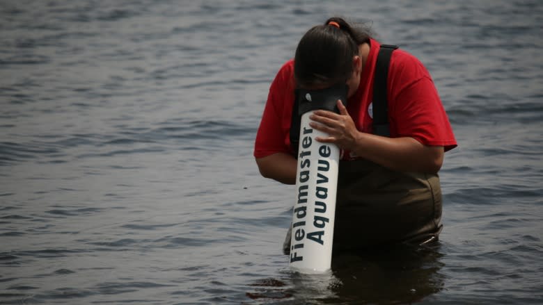 All hands in the lake: Public field day examines life in Bras d'Or Lake